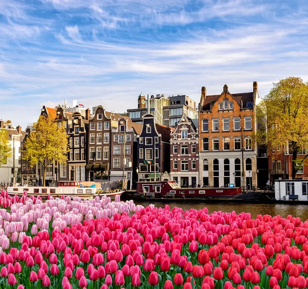 Dutch canal w/ tulips