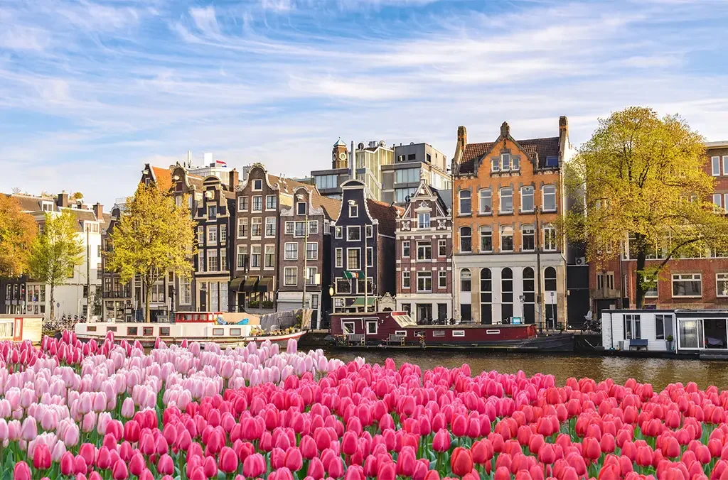 Dutch canal with tulips
